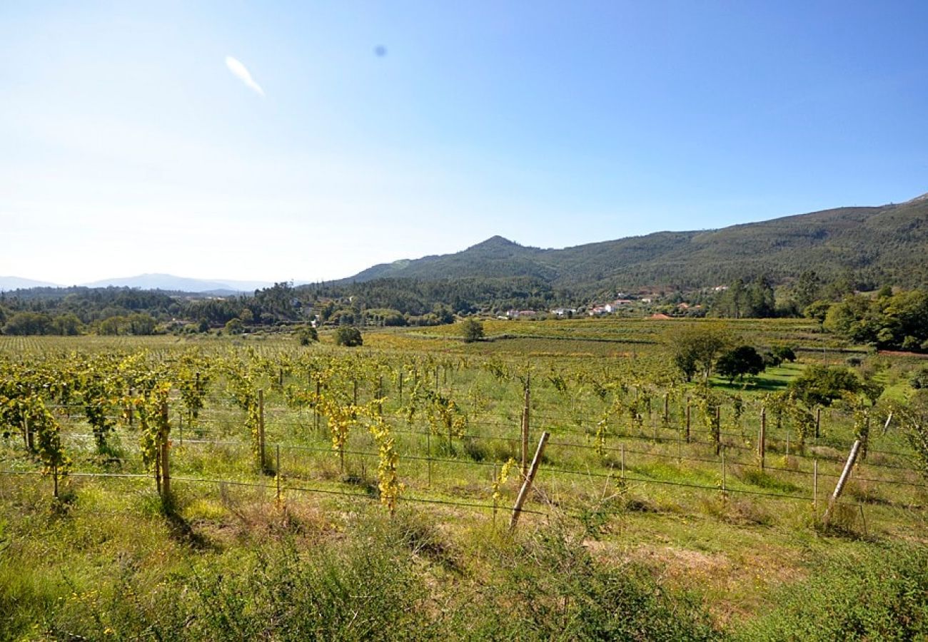 Villa in Ponte de Lima - Villa 290 Luxurious Reconverted Farmhouses w/ Pool