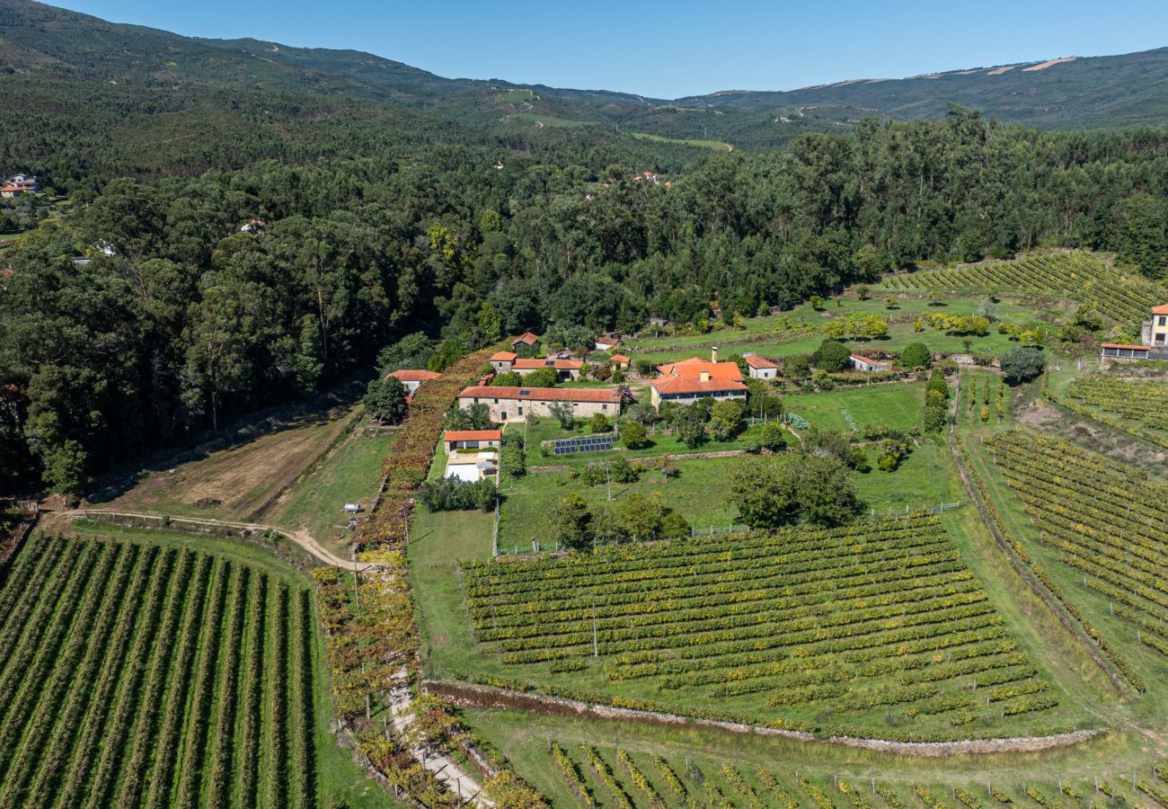 Villa in Ponte de Lima - Villa 290 Luxurious Reconverted Farmhouses w/ Pool