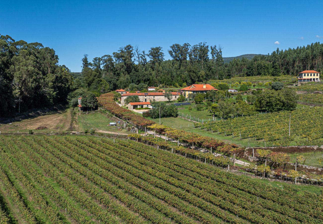 Villa in Ponte de Lima - Villa 290 Luxurious Reconverted Farmhouses w/ Pool