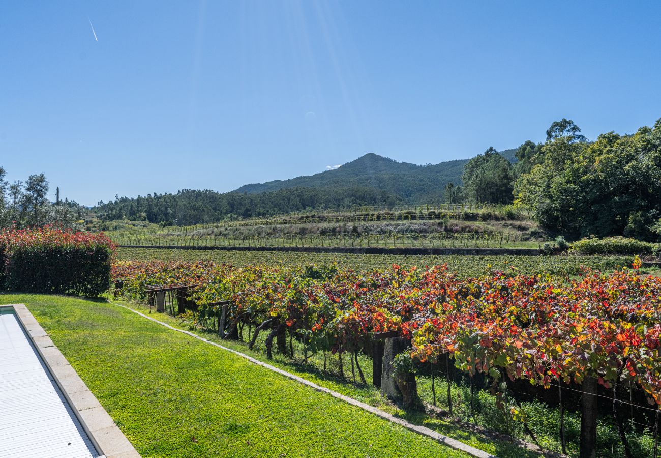 Villa in Ponte de Lima - Villa 290 Luxurious Reconverted Farmhouses w/ Pool