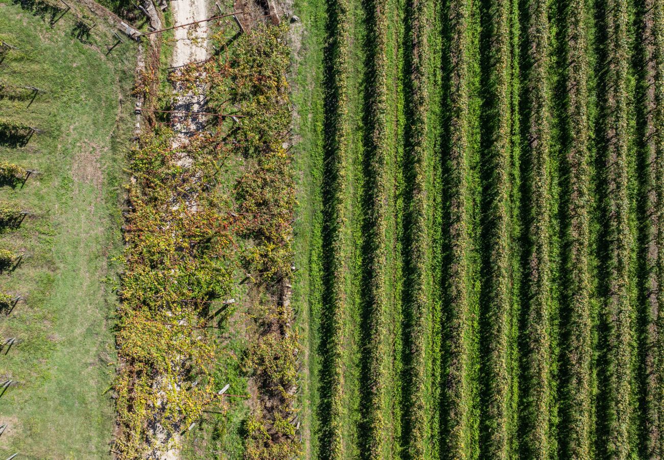 Villa in Ponte de Lima - Villa 290 Luxurious Reconverted Farmhouses w/ Pool