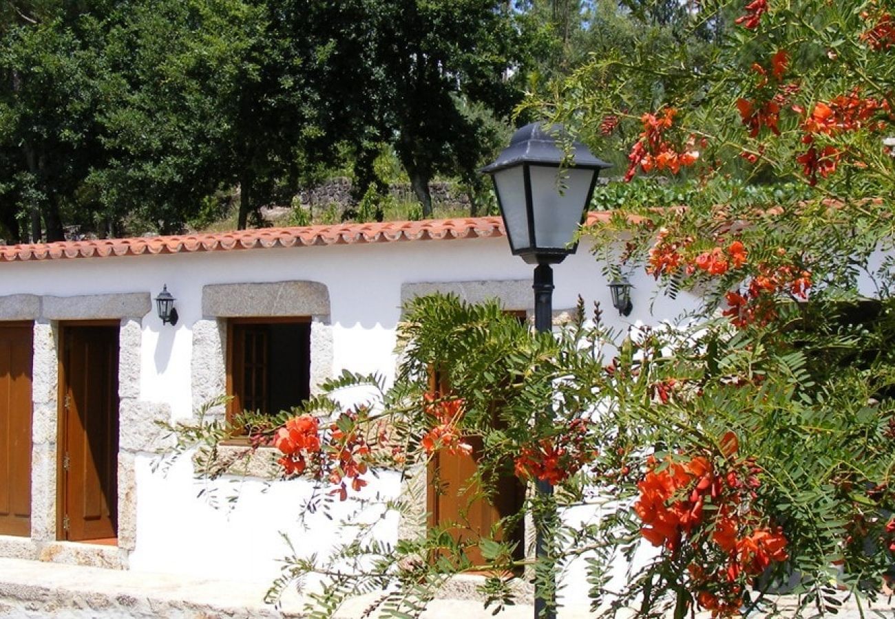 Villa in Barcelos - Villa 258 Holiday Villa w/ Pool and Large Garden