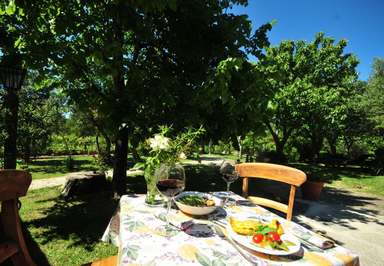 Casa en Vila Nova de Cerveira - Casa de Santiago Charming Cottage w/ Beautiful Garden