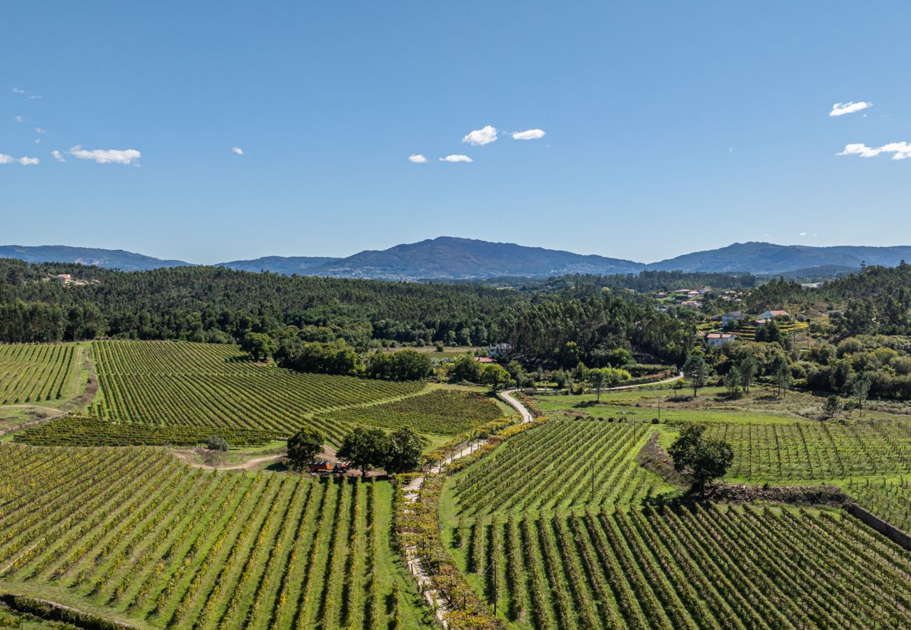 Villa en Ponte de Lima - Villa 290 Luxurious Reconverted Farmhouses w/ Pool Villa en Ponte de Lima - Villa 290 Luxurious Reconverted Farmhouses w/ Pool
