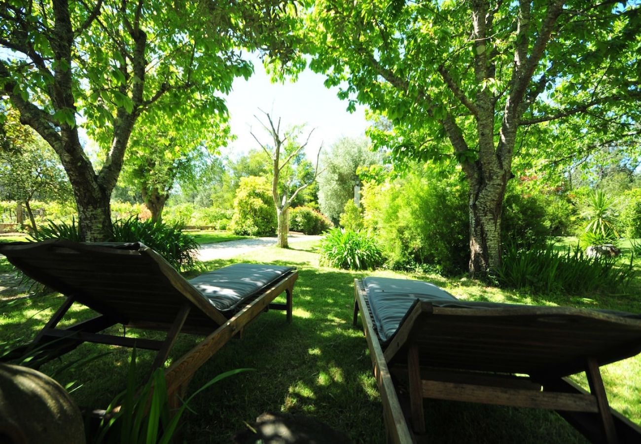 Casa en Vila Nova de Cerveira - Casa da Luz Charming Cottage w/ Beautiful Garden