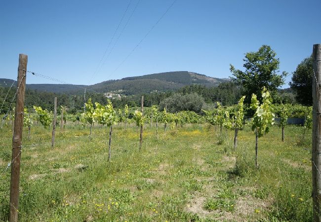 Villa à Ponte de Lima - Villa 233 Restored Farmhouse for Large Groups Villa à Ponte de Lima - Villa 233 Restored Farmhouse for Large Groups