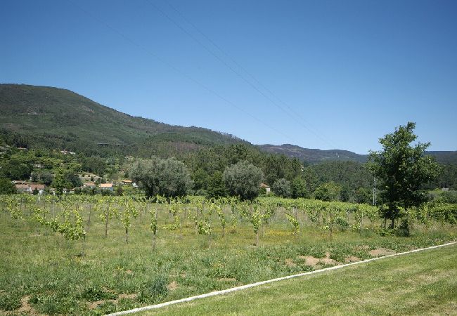 Villa à Ponte de Lima - Villa 233 Restored Farmhouse for Large Groups Villa à Ponte de Lima - Villa 233 Restored Farmhouse for Large Groups