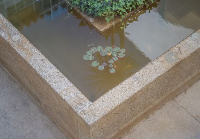 Villa à Ponte de Lima - Villa 241 Luxurious Villa w/ Pool and Tennis Court Villa à Ponte de Lima - Villa 241 Luxurious Villa w/ Pool and Tennis Court