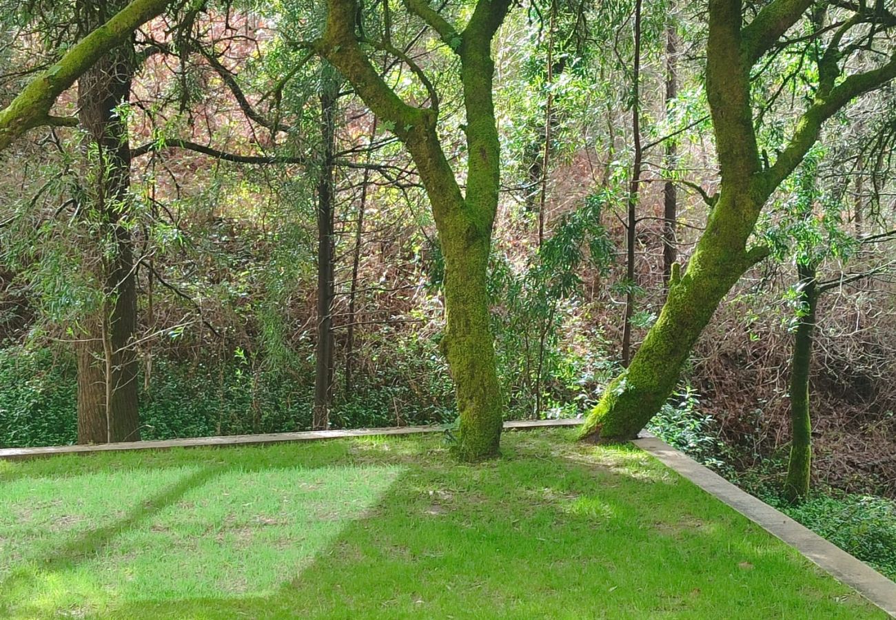 Villa à Orbacém - Villa 243