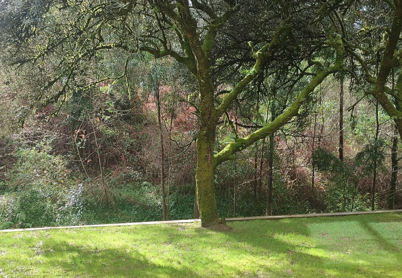 Villa à Orbacém - Villa 243