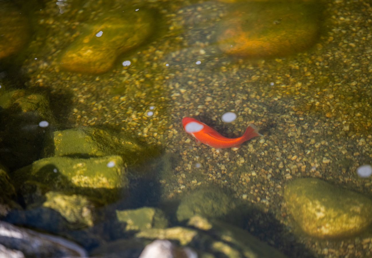 Villa à Esposende - Villa 328 - A Peaceful Garden Retreat Near Esposende