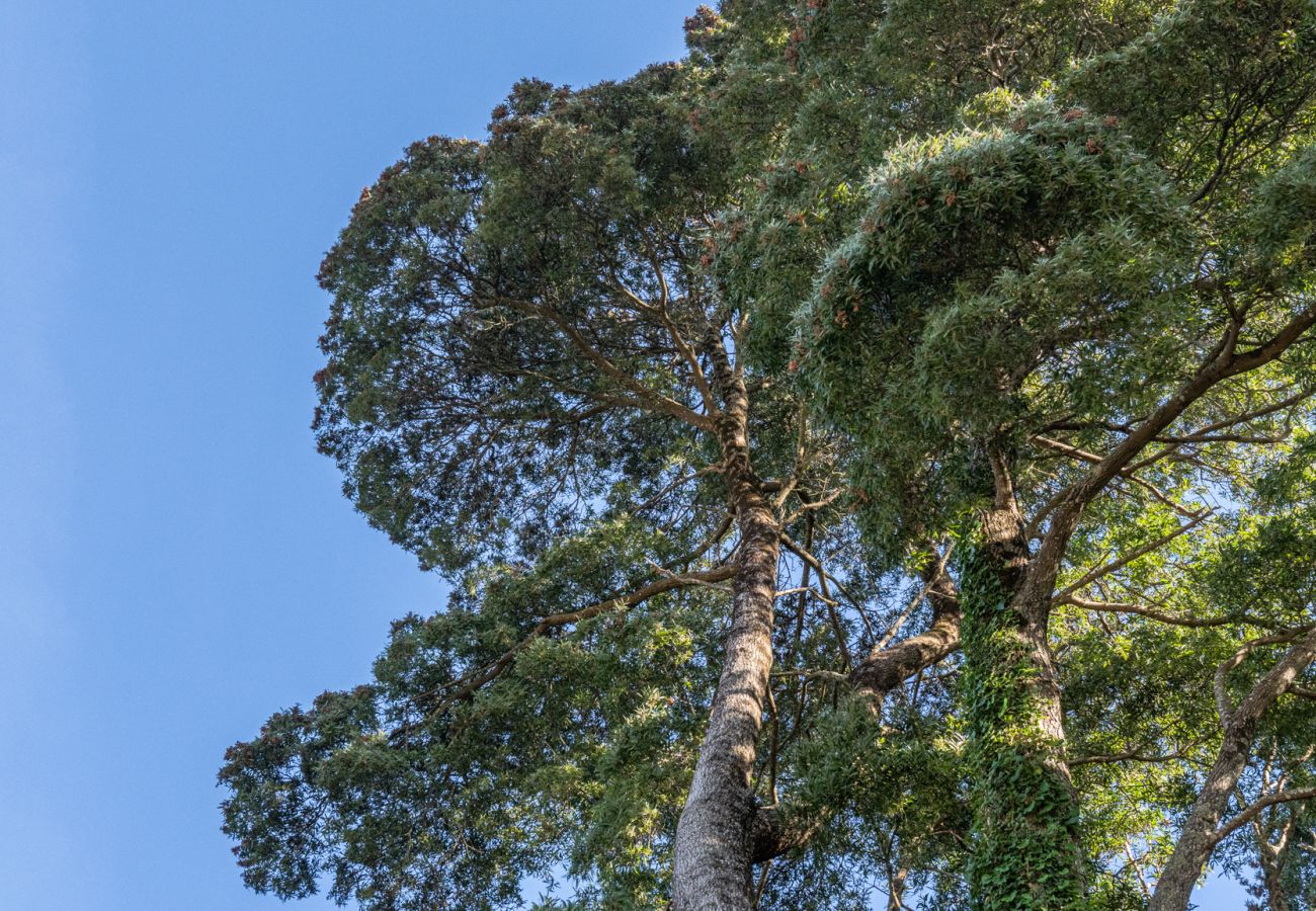 Villa à Cristelo - Villa 262 V6 - A Charming Duo of Stone Villas With Spectacular Sea Views