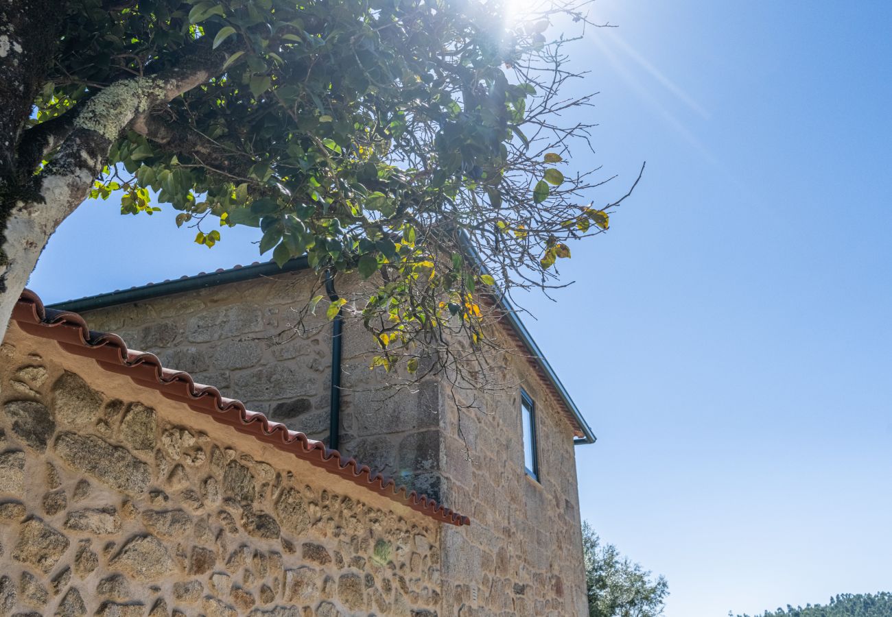 Villa em Ponte de Lima - Villa 290 Propriedade de Luxo em Exploração Vínica Villa em Ponte de Lima - Villa 290 Propriedade de Luxo em Exploração Vínica