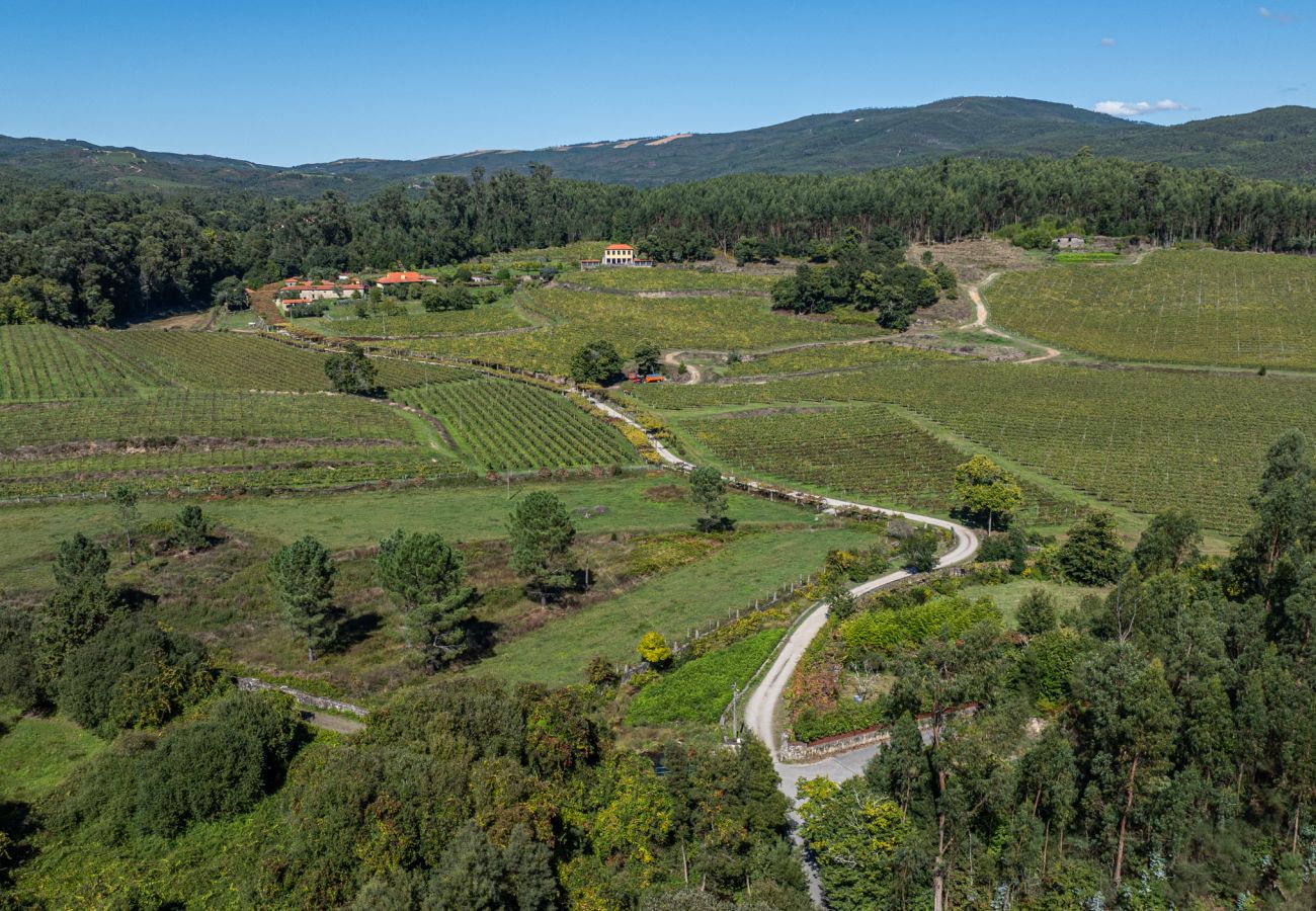 Villa em Ponte de Lima - Villa 290 Propriedade de Luxo em Exploração Vínica Villa em Ponte de Lima - Villa 290 Propriedade de Luxo em Exploração Vínica