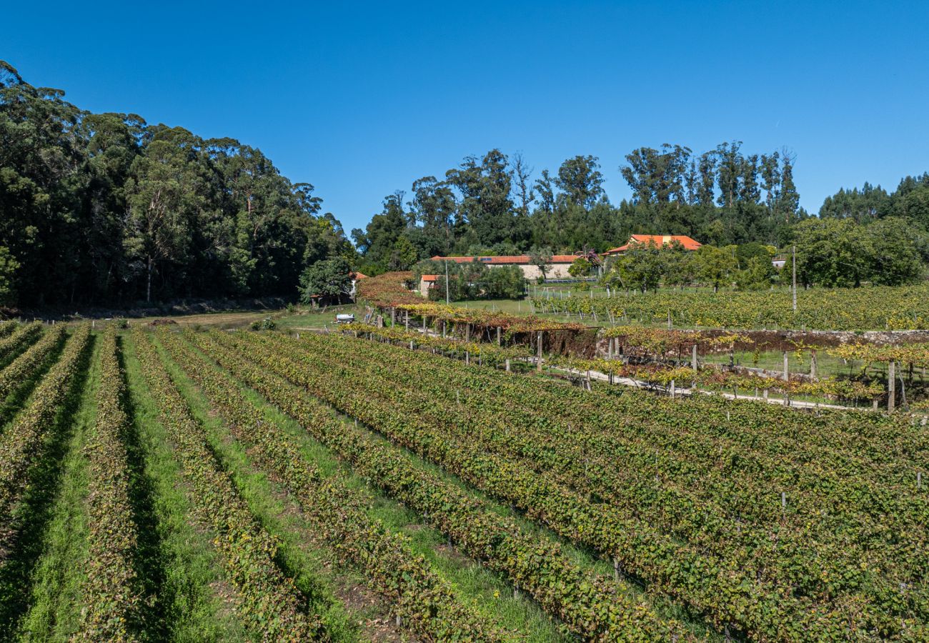 Villa em Ponte de Lima - Villa 290 Propriedade de Luxo em Exploração Vínica Villa em Ponte de Lima - Villa 290 Propriedade de Luxo em Exploração Vínica