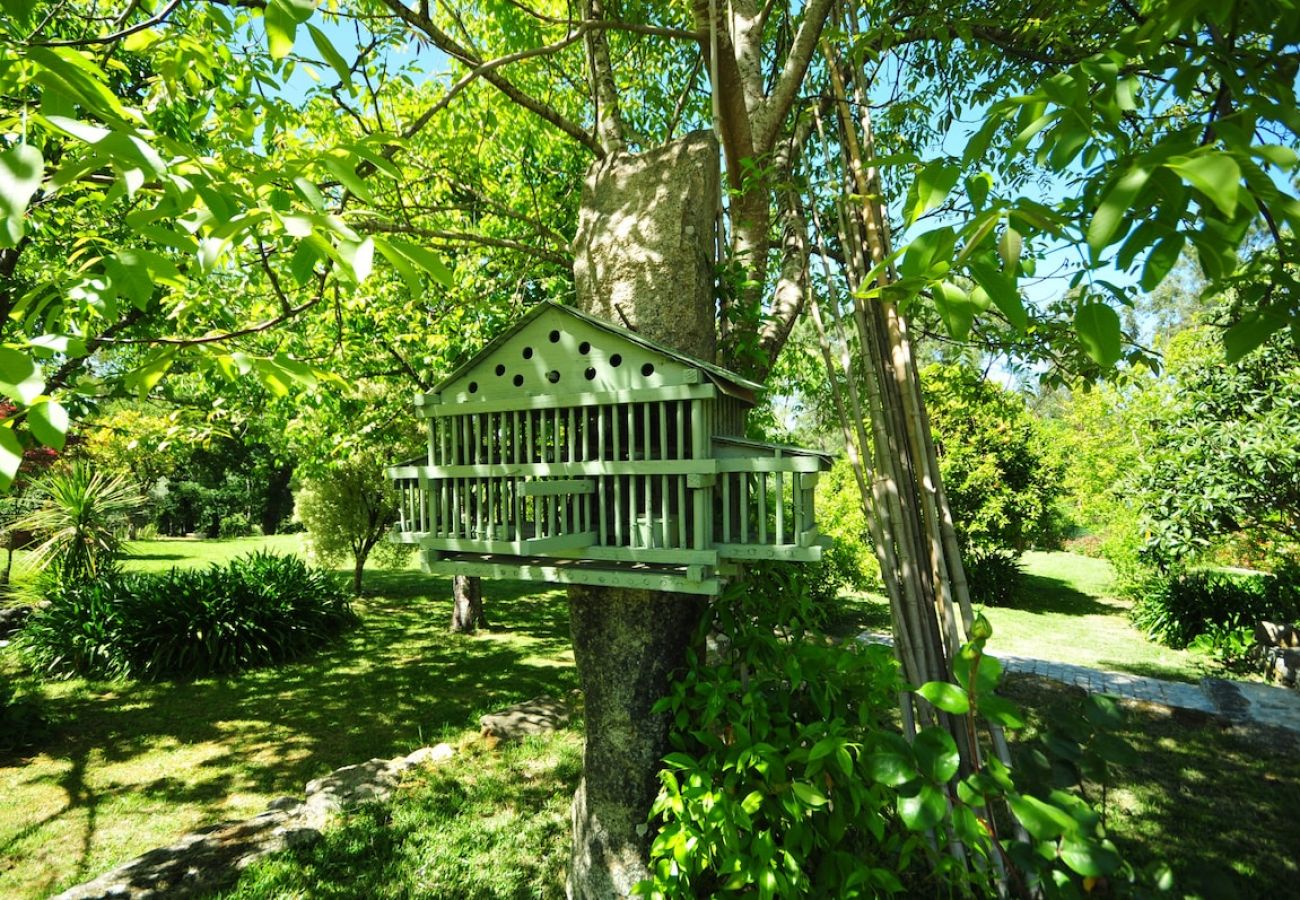 Casa em Vila Nova de Cerveira - Casa da Luz Refúgio c/ Jardim Encantador