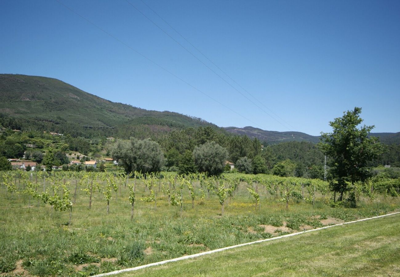 Villa in Ponte de Lima - Villa 233 Restored Farmhouse for Large Groups