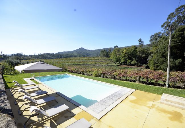 View over the vineyards