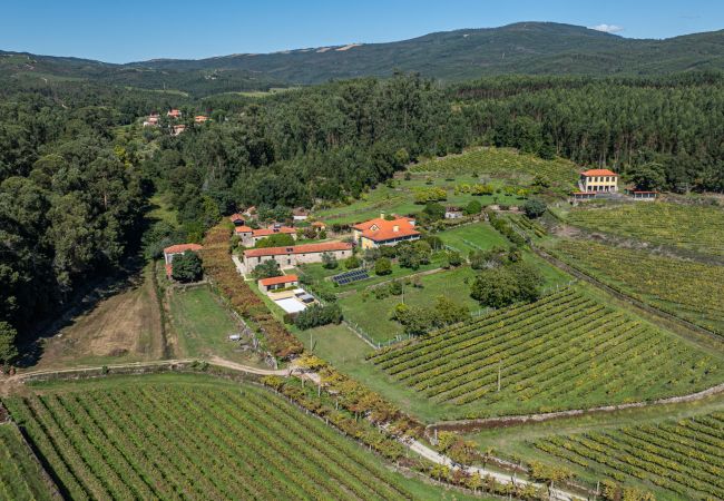 Villa in Ponte de Lima - Villa 290 Luxurious Reconverted Farmhouses w/ Pool Villa in Ponte de Lima - Villa 290 Luxurious Reconverted Farmhouses w/ Pool