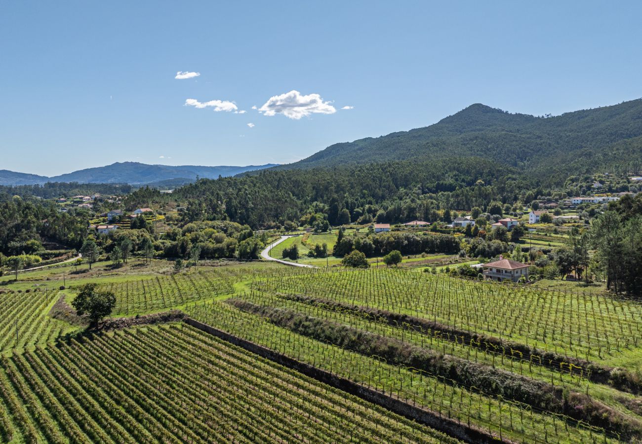 Villa in Ponte de Lima - Villa 290 Luxurious Reconverted Farmhouses w/ Pool