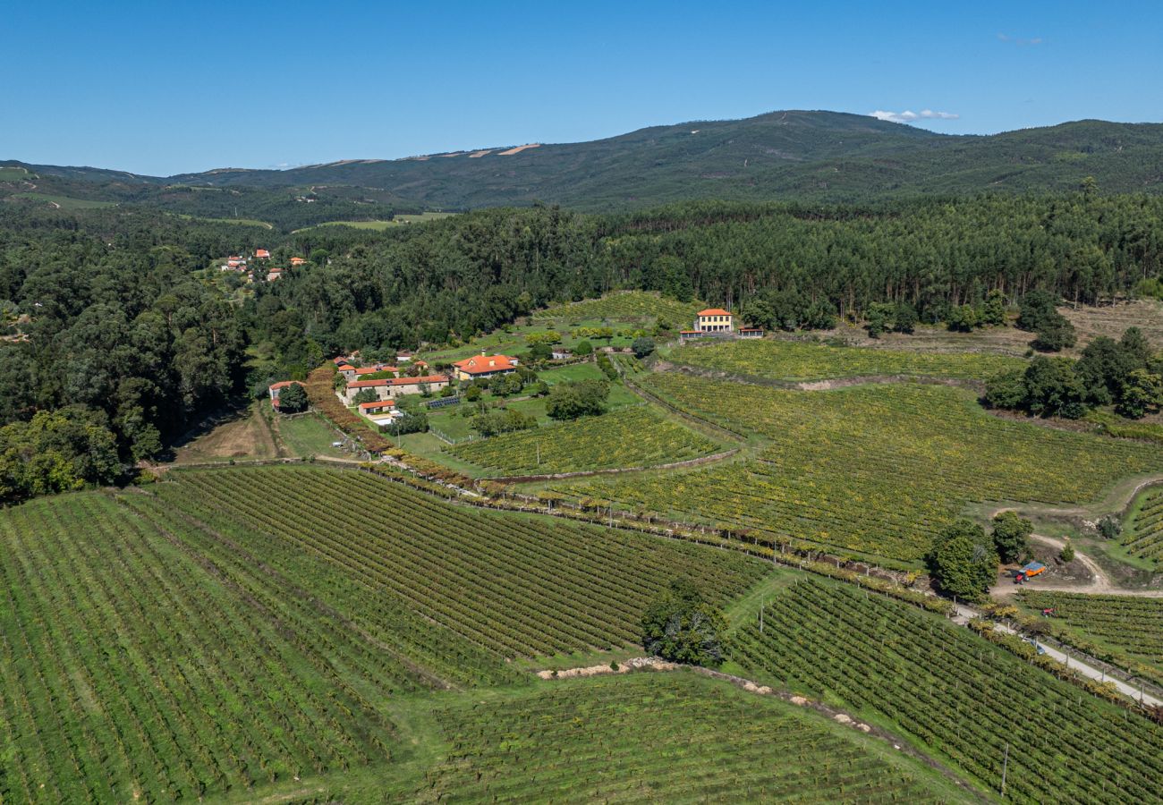 Villa in Ponte de Lima - Villa 290 Luxurious Reconverted Farmhouses w/ Pool