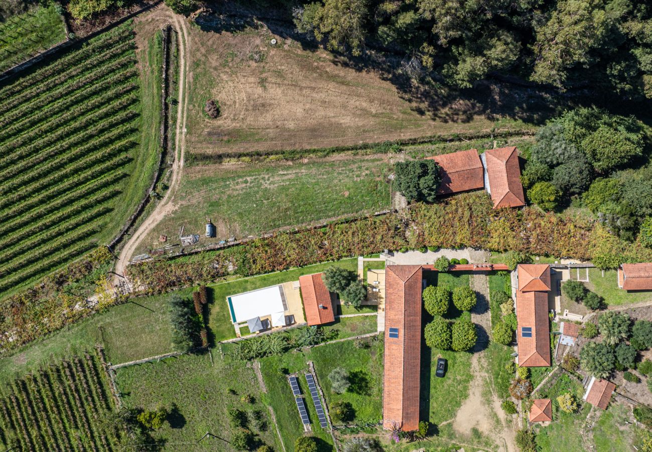 Villa in Ponte de Lima - Villa 290 Luxurious Reconverted Farmhouses w/ Pool