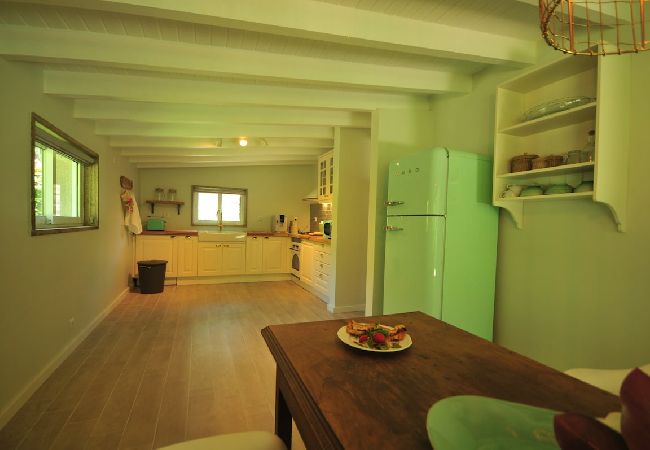 House in Vila Nova de Cerveira - Casa da Luz Charming Cottage w/ Beautiful Garden House in Vila Nova de Cerveira - Casa da Luz Charming Cottage w/ Beautiful Garden