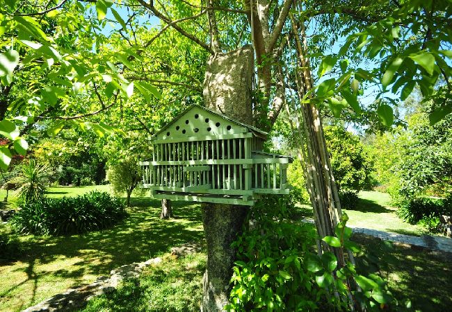 House in Vila Nova de Cerveira - Casa da Luz Charming Cottage w/ Beautiful Garden House in Vila Nova de Cerveira - Casa da Luz Charming Cottage w/ Beautiful Garden