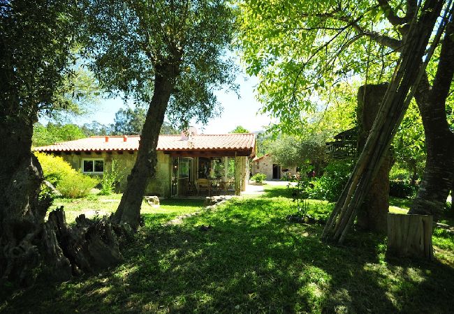 House in Vila Nova de Cerveira - Casa da Luz Charming Cottage w/ Beautiful Garden House in Vila Nova de Cerveira - Casa da Luz Charming Cottage w/ Beautiful Garden