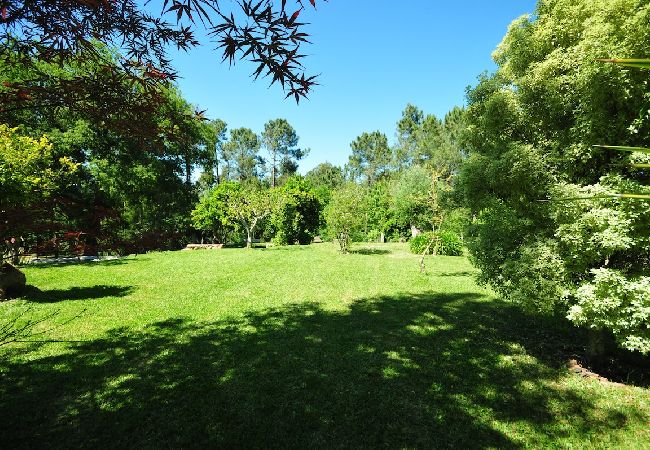 House in Vila Nova de Cerveira - Casa da Luz Charming Cottage w/ Beautiful Garden House in Vila Nova de Cerveira - Casa da Luz Charming Cottage w/ Beautiful Garden