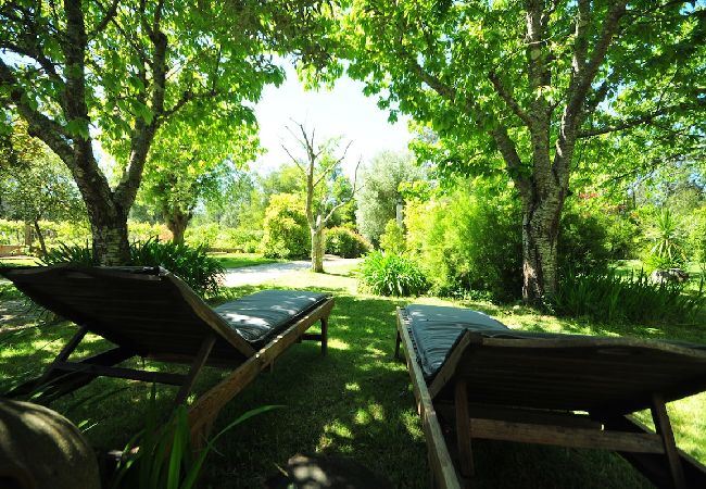 House in Vila Nova de Cerveira - Casa da Luz Charming Cottage w/ Beautiful Garden House in Vila Nova de Cerveira - Casa da Luz Charming Cottage w/ Beautiful Garden