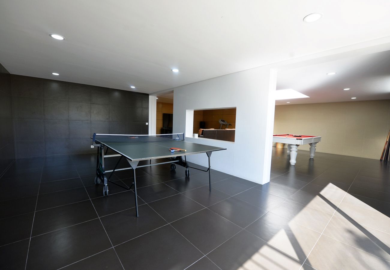 table tennis table