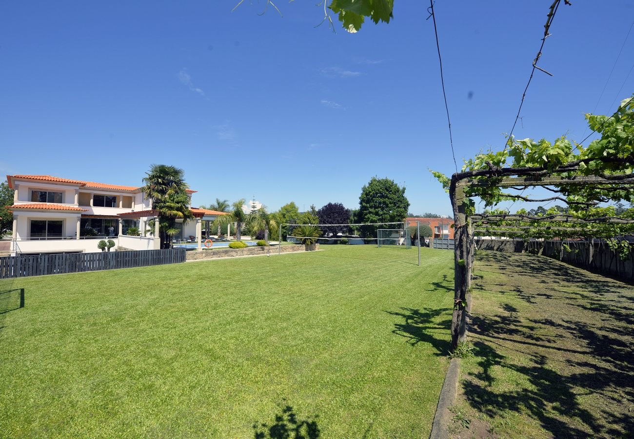 Lawn and vineyard at villa 320