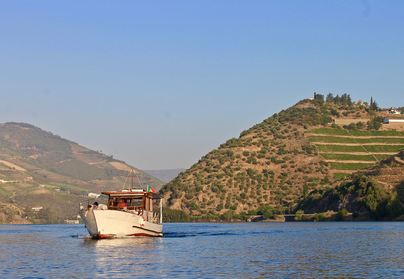Douro river boat trips in the area
