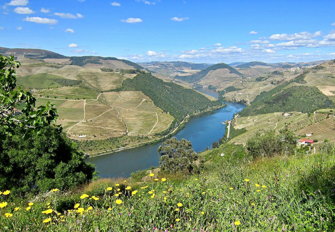 Nearby Douro river valley