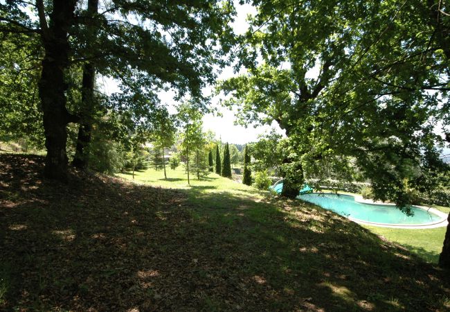 Villa in Ponte de Lima - Villa 232 Charming Restored Farmhouse for Families Villa in Ponte de Lima - Villa 232 Charming Restored Farmhouse for Families