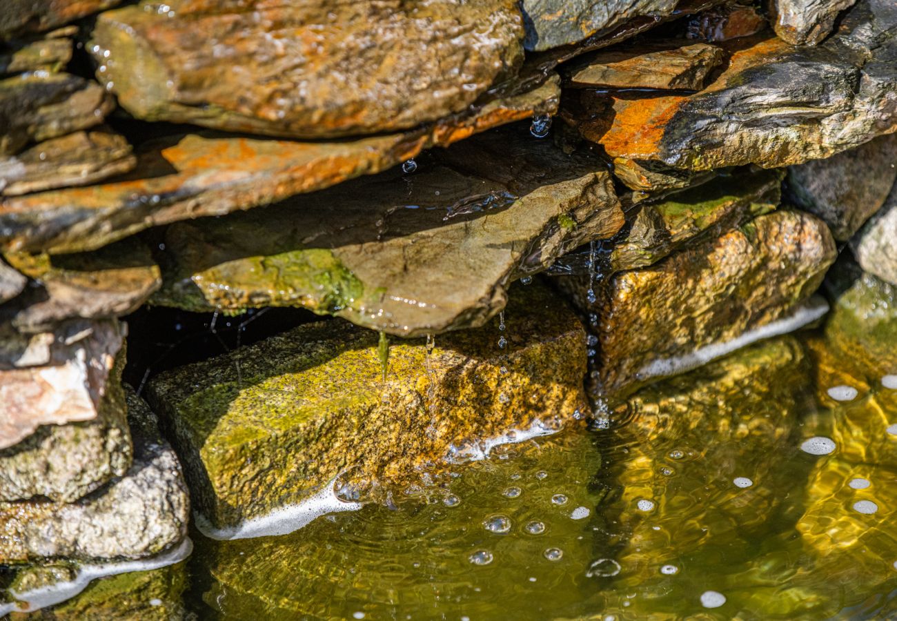Villa in Esposende - Villa 328 - A Peaceful Garden Retreat Near Esposende